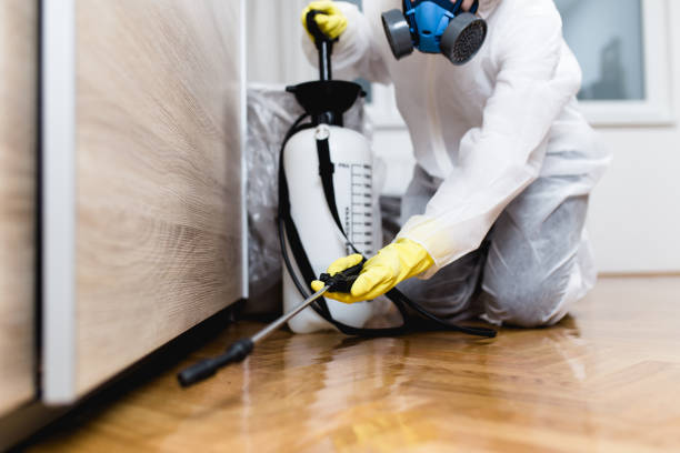 Best Affordable Pest Control Services  in Green Cove Springs, FL