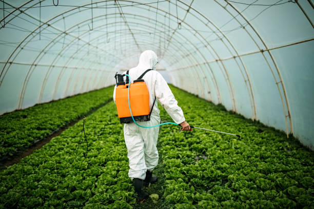 Pest Prevention Services in Green Cove Springs, FL