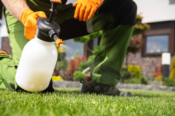 Best Residential Pest Control  in Green Cove Springs, FL
