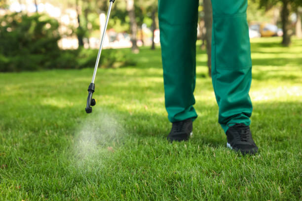 Best Bed Bug Extermination  in Green Cove Springs, FL
