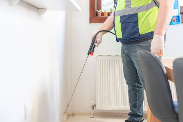 Best Best Pest Control Companies  in Green Cove Springs, FL