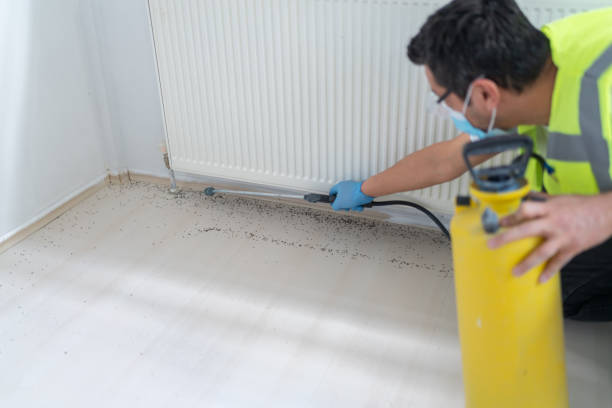 Best Residential Pest Control  in Green Cove Springs, FL